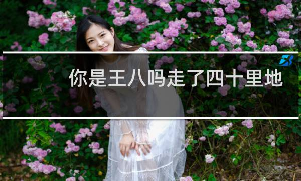 你是王八吗走了四十里地