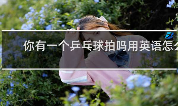 你有一个乒乓球拍吗用英语怎么说