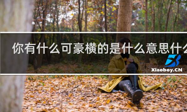 你有什么可豪横的是什么意思什么梗