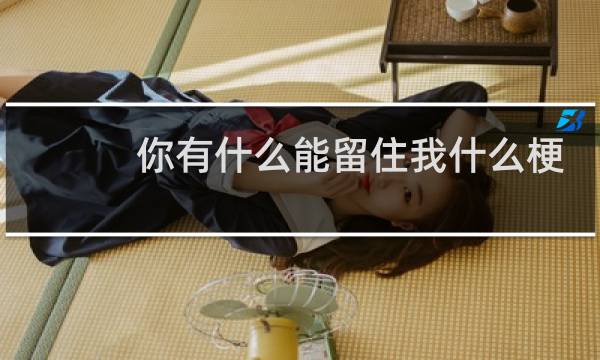 你有什么能留住我什么梗