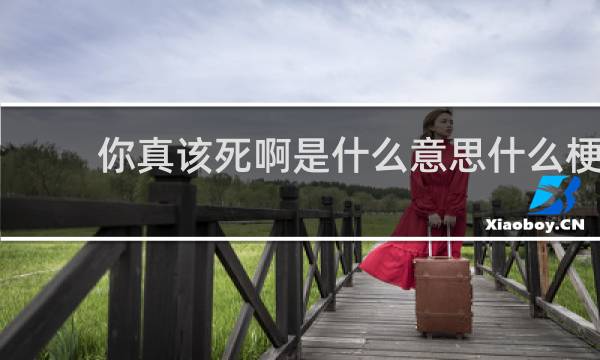 你真该死啊是什么意思什么梗