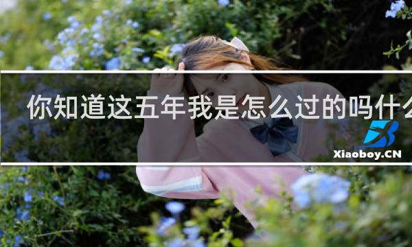你知道这五年我是怎么过的吗什么梗