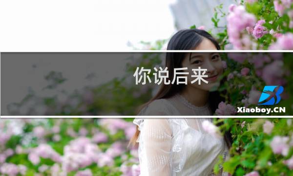 你说后来图片