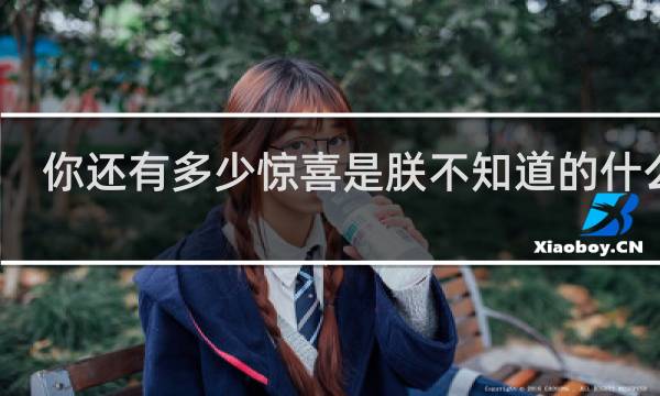 你还有多少惊喜是朕不知道的什么梗