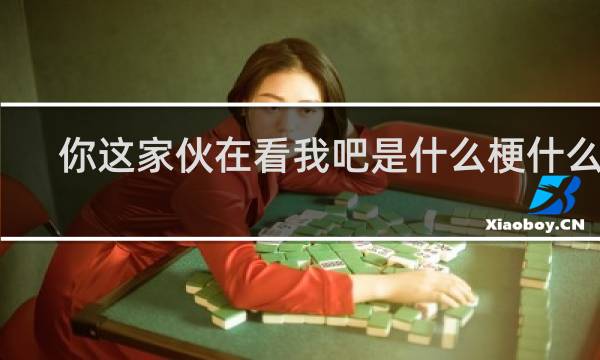 你这家伙在看我吧是什么梗什么梗