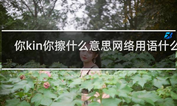 你kin你擦什么意思网络用语什么梗