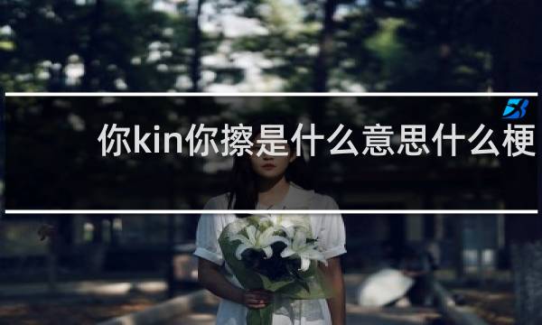 你kin你擦是什么意思什么梗