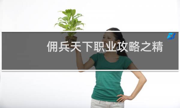 佣兵天下职业攻略之精灵选择解析