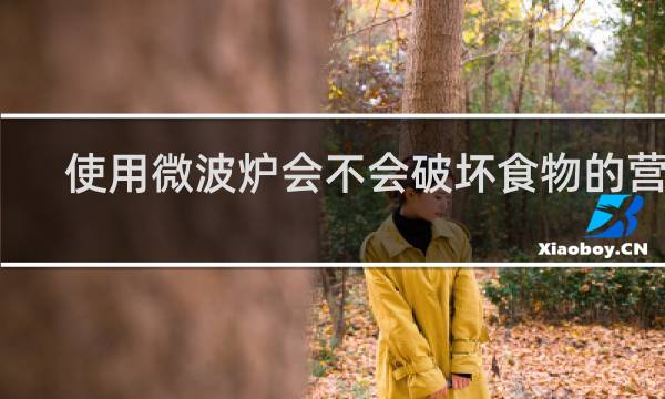 使用微波炉会不会破坏食物的营养