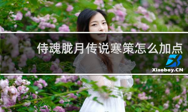 侍魂胧月传说寒策怎么加点