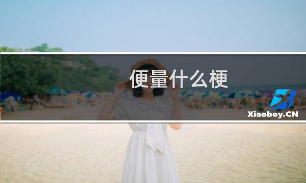 便量什么梗