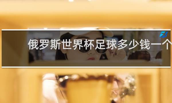 俄罗斯世界杯足球多少钱一个