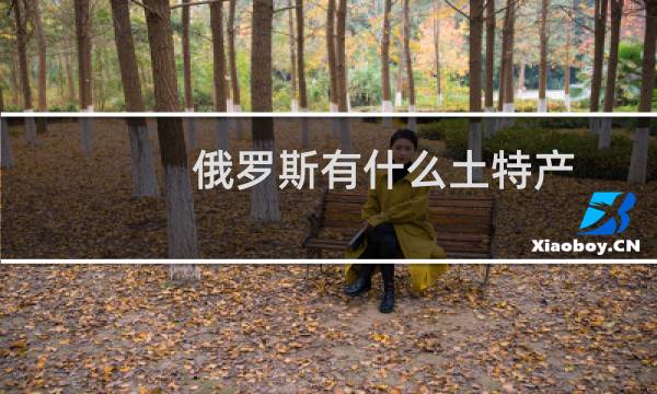 俄罗斯有什么土特产