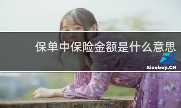 保单中保险金额是什么意思
