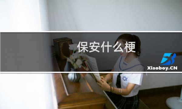 保安什么梗