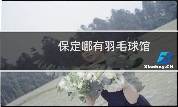 保定哪有羽毛球馆