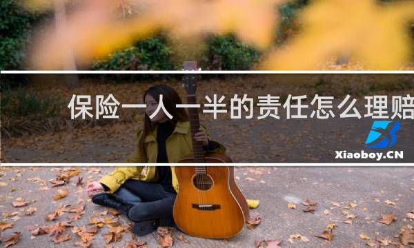保险一人一半的责任怎么理赔