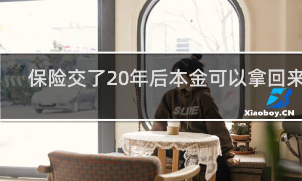 保险交了20年后本金可以拿回来吗