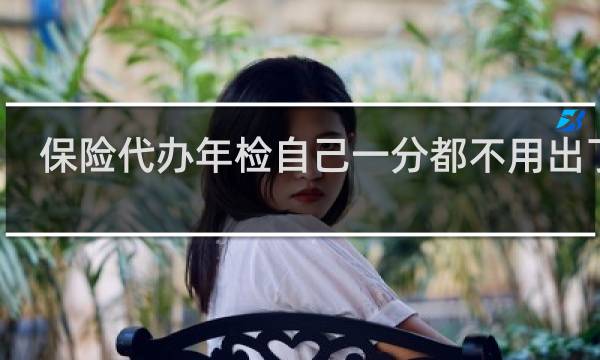保险代办年检自己一分都不用出了吗