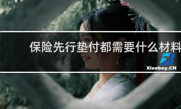 保险先行垫付都需要什么材料