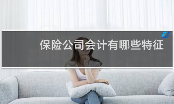 保险公司会计有哪些特征