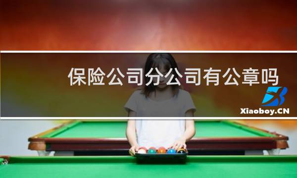 保险公司分公司有公章吗