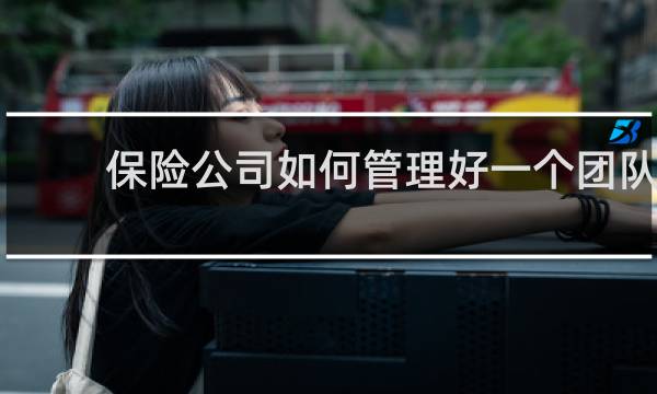 保险公司如何管理好一个团队