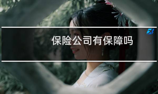 保险公司有保障吗