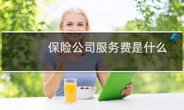 保险公司服务费是什么图片