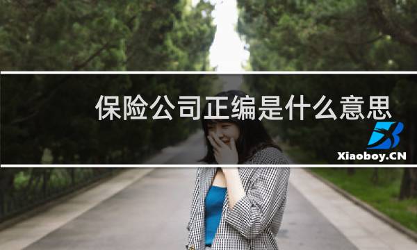 保险公司正编是什么意思图片