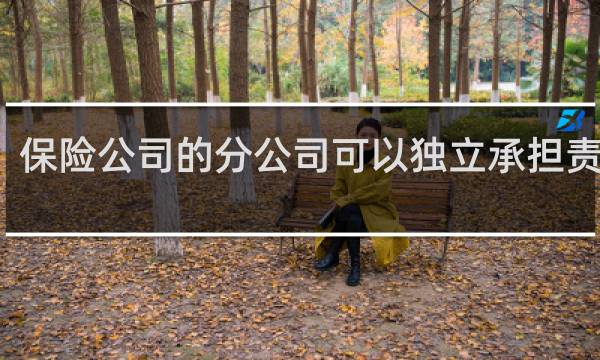 保险公司的分公司可以独立承担责任吗