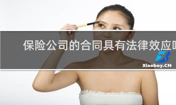 保险公司的合同具有法律效应吗