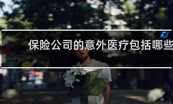 保险公司的意外医疗包括哪些图片