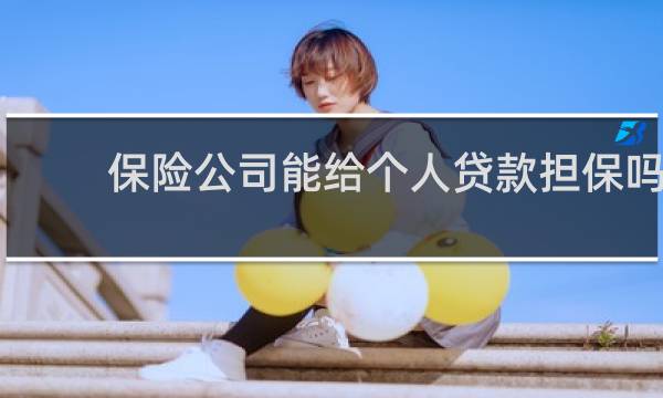 保险公司能给个人贷款担保吗