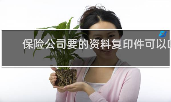 保险公司要的资料复印件可以吗