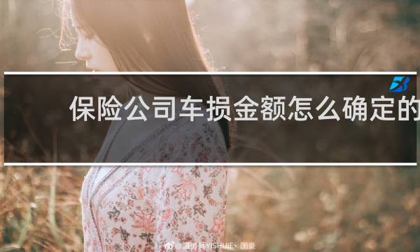保险公司车损金额怎么确定的