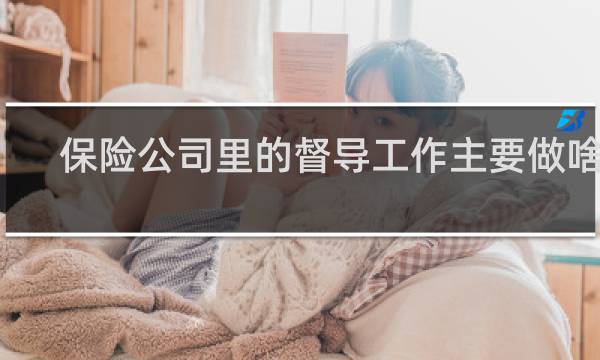 保险公司里的督导工作主要做啥的