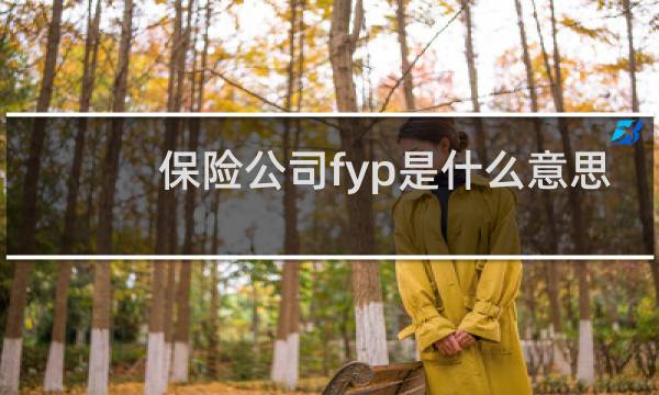 保险公司fyp是什么意思