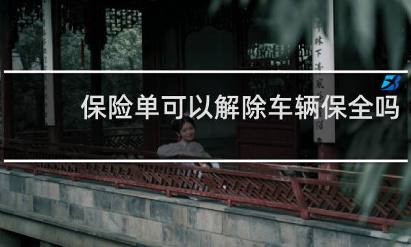 保险单可以解除车辆保全吗