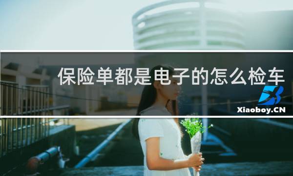 保险单都是电子的怎么检车