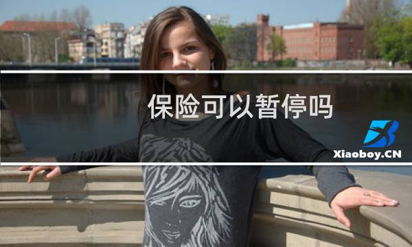 保险可以暂停吗