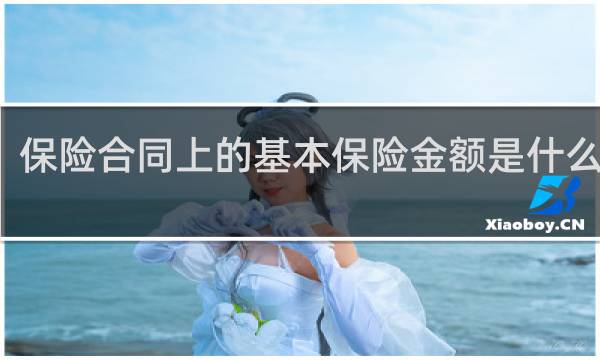 保险合同上的基本保险金额是什么意思