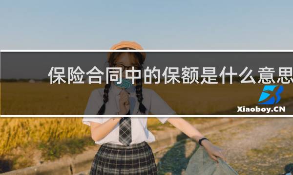 保险合同中的保额是什么意思