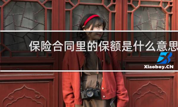 保险合同里的保额是什么意思