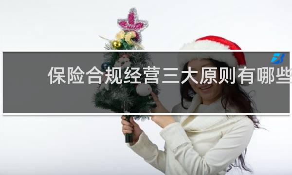 保险合规经营三大原则有哪些图片