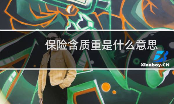 保险含质重是什么意思