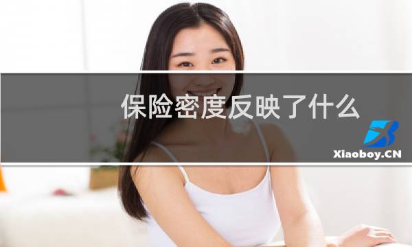 保险密度反映了什么