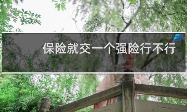 保险就交一个强险行不行
