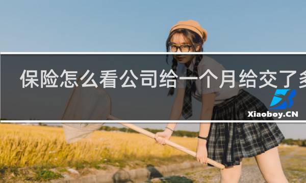 保险怎么看公司给一个月给交了多少