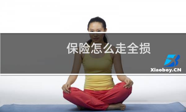 保险怎么走全损